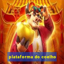 plataforma do coelho